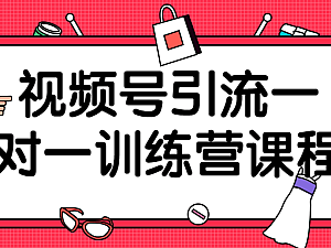 【引流课程】视频号引流一对一训练营课程