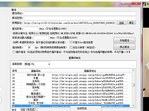 【引流软件】电脑端抖音推流直播综合版 V1.1可直播别人的直播工具