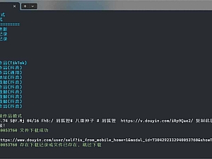 【电脑软件】TikTokDownloader-免费开源TikTok抖音数据采集工具 无水印