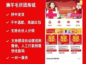 【源码】薅羊毛拼团商城V2.8.6源码