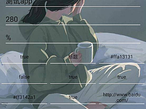 【安卓应用】安卓一键网站转APP V1.0版