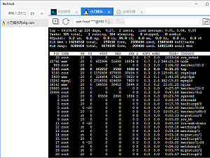【电脑软件】Linux远程工具NxShell v1.5.1
