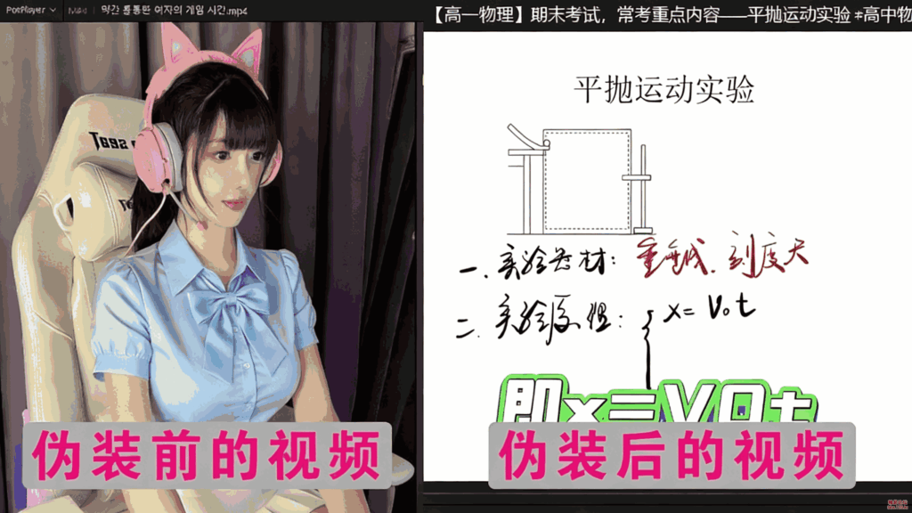 视频伪装大师VideoCamouflageMaster v1.0.0【软件程序】-木叔脚本